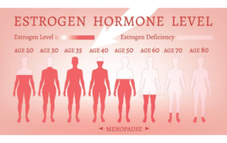 estrogen-chart